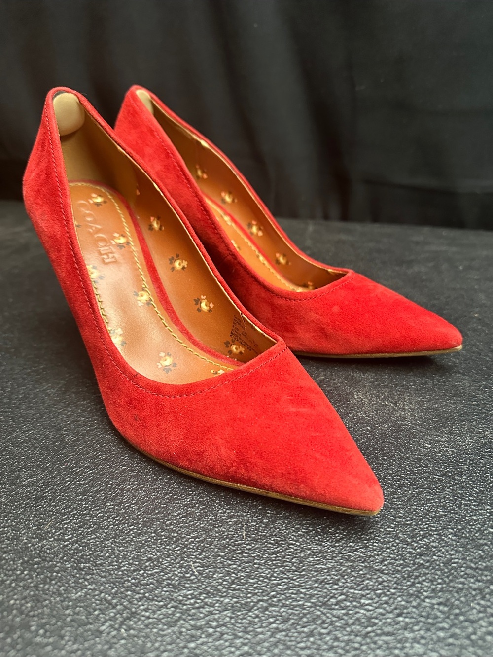 Coach Classic lipstick Red Suede Pointed-Toe Pumps